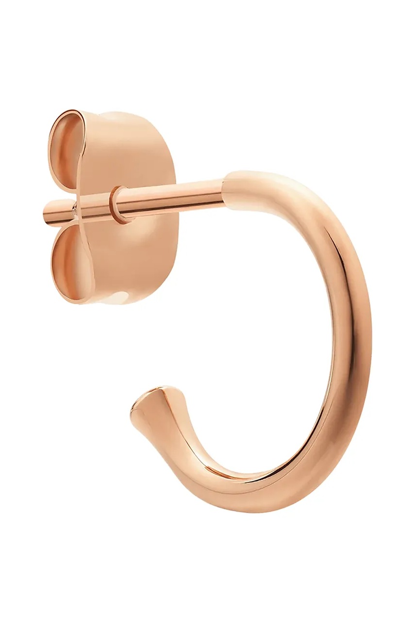 Σκουλαρίκια Daniel Wellington DW00400767 φωτογραφία