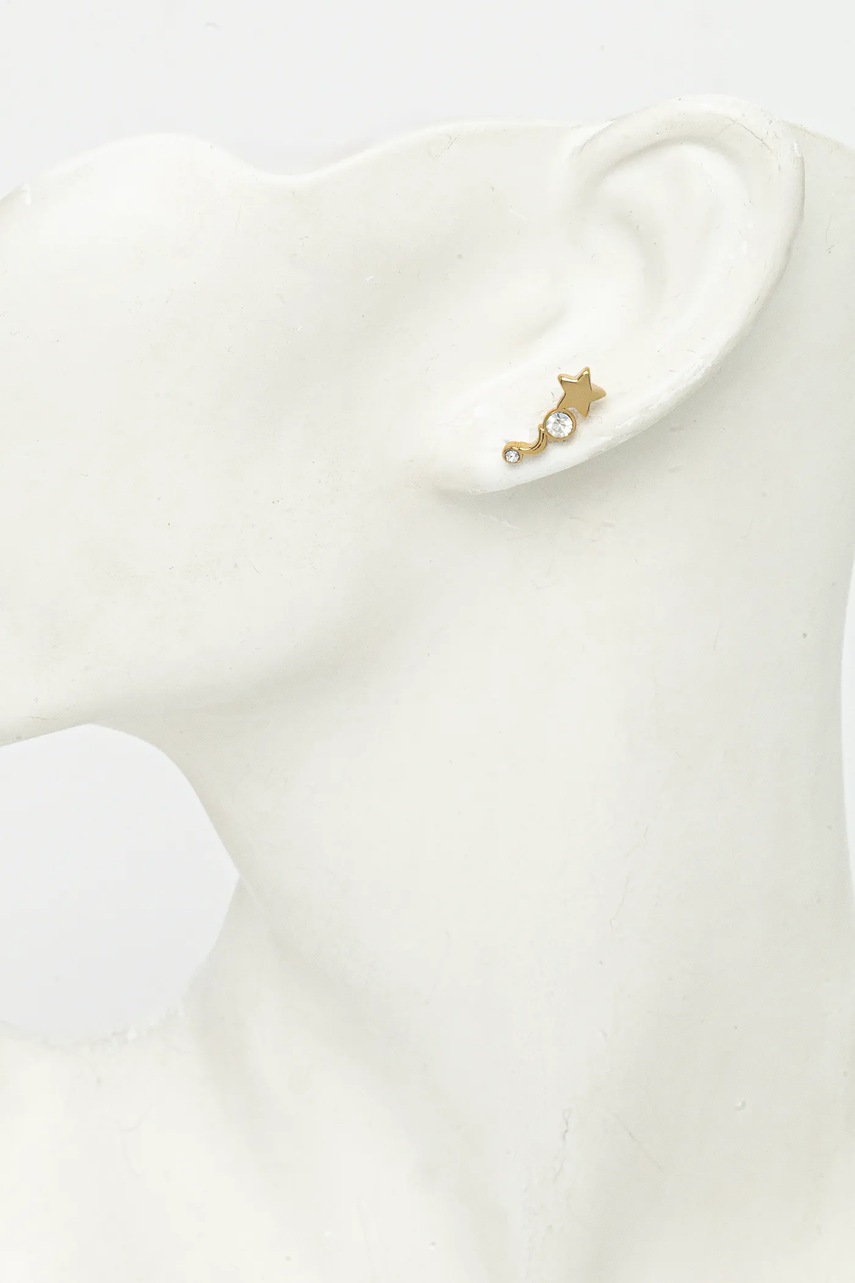 Сережки Coach 518486