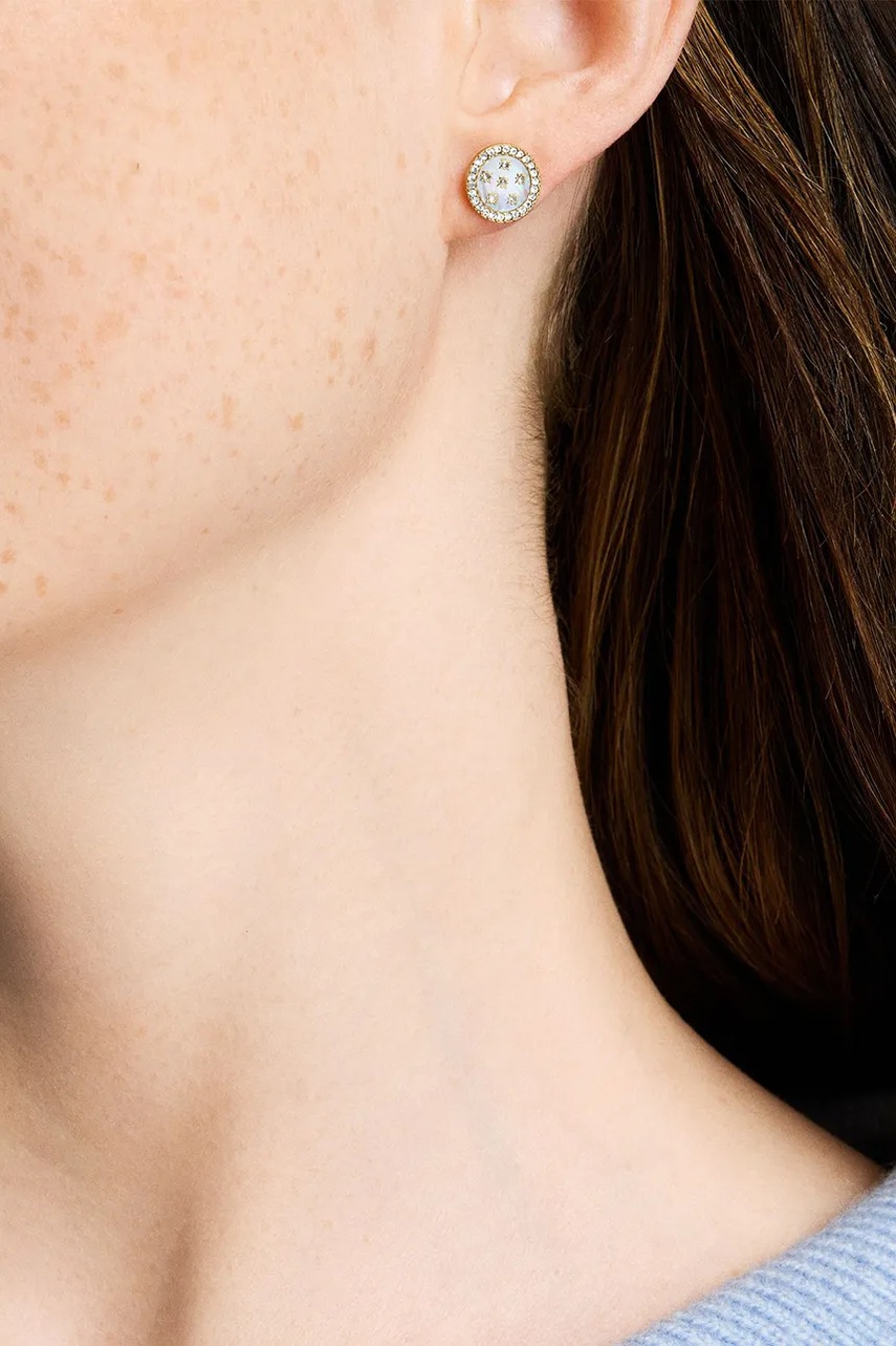 Σκουλαρίκια Fossil JF04868710 φωτογραφία