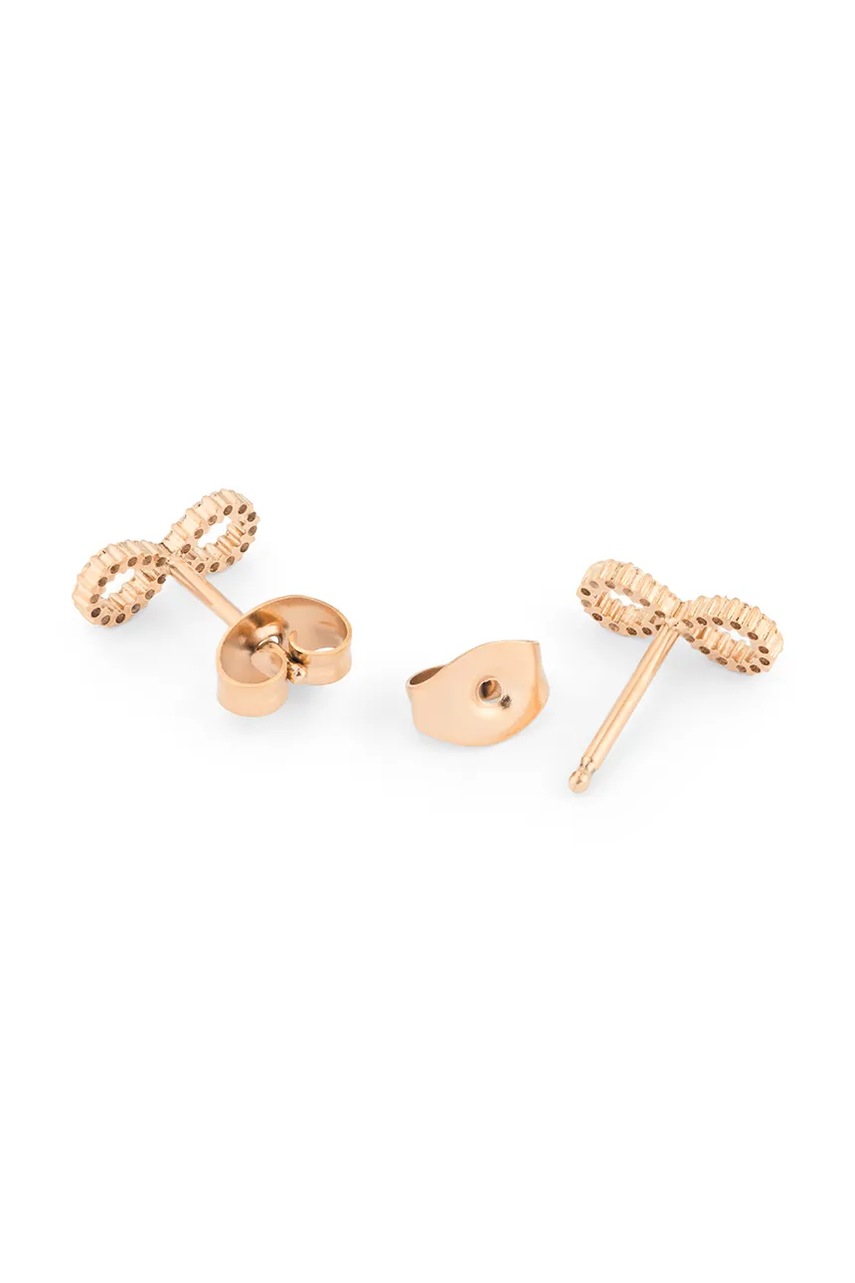 Σκουλαρίκια Daniel Wellington DW00401615 φωτογραφία