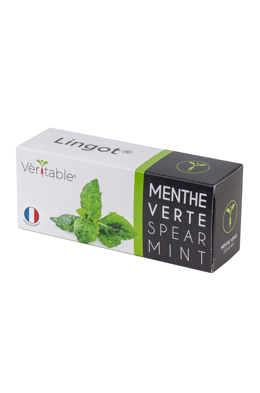 Veritable - Insertie de seminte menta