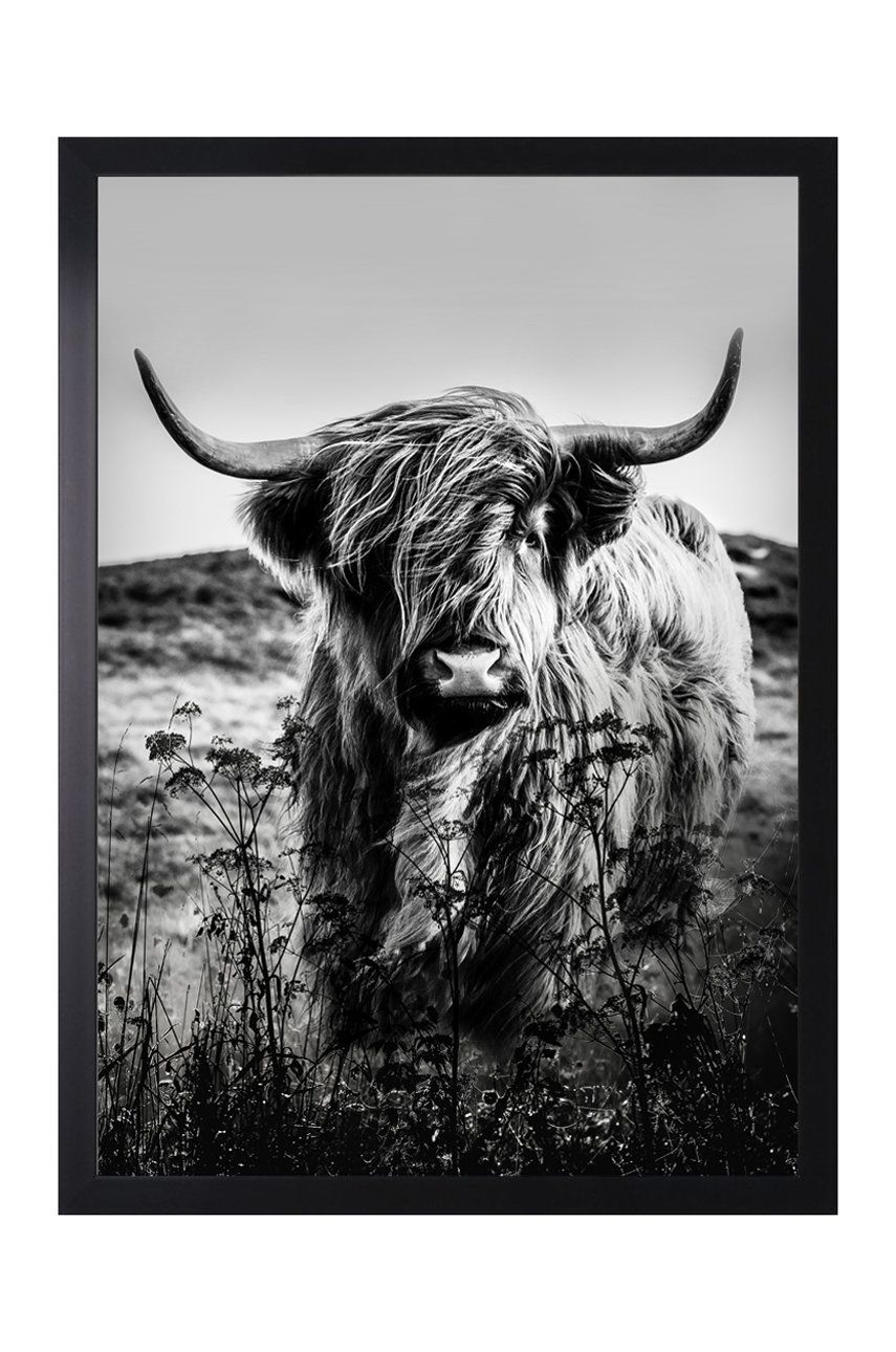 Așteaptă imaginea pentru produs