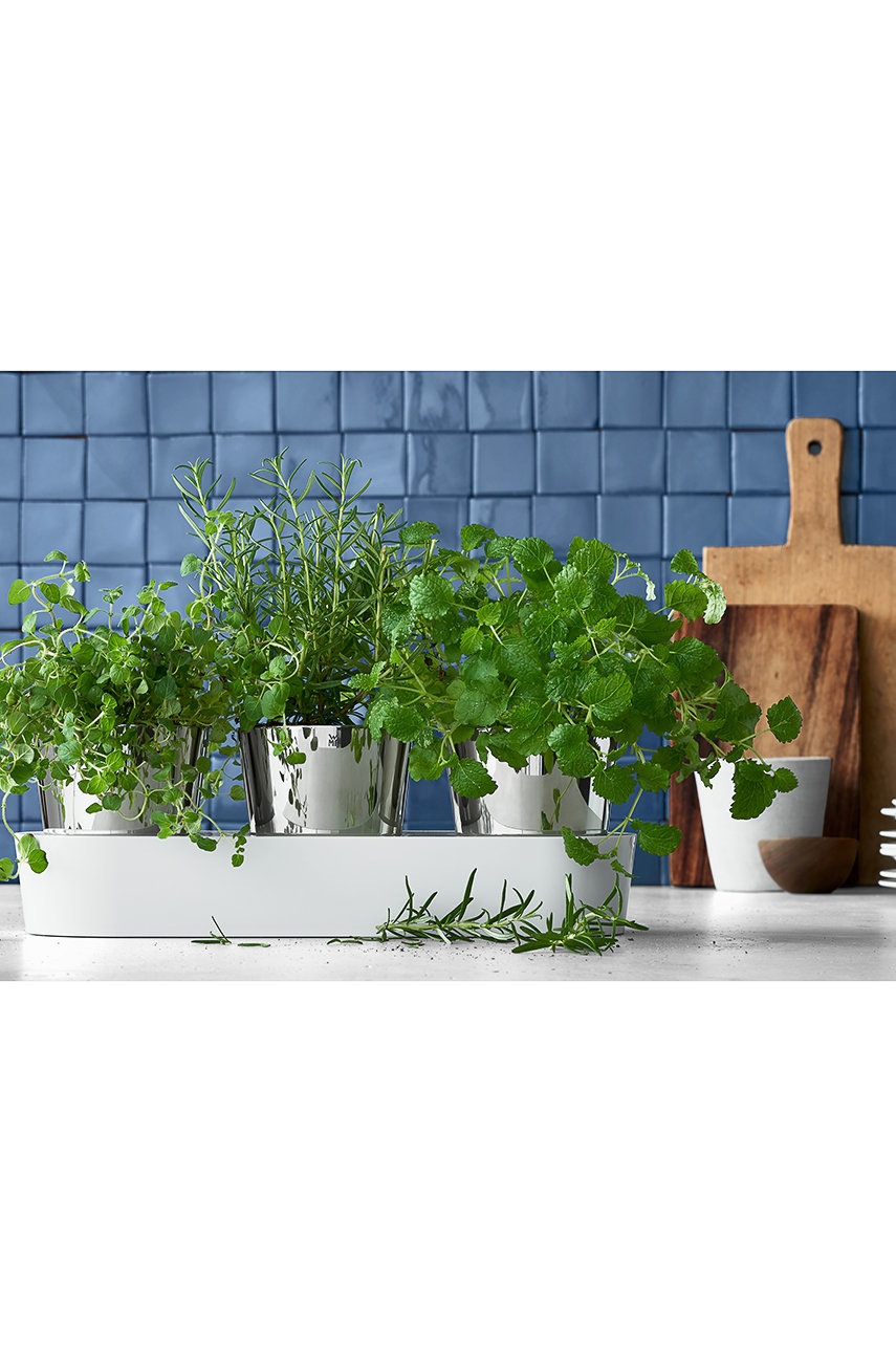 WMF σετ γλάστρες με βότανα με πιατάκι Gourmet (3-pack) φωτογραφία