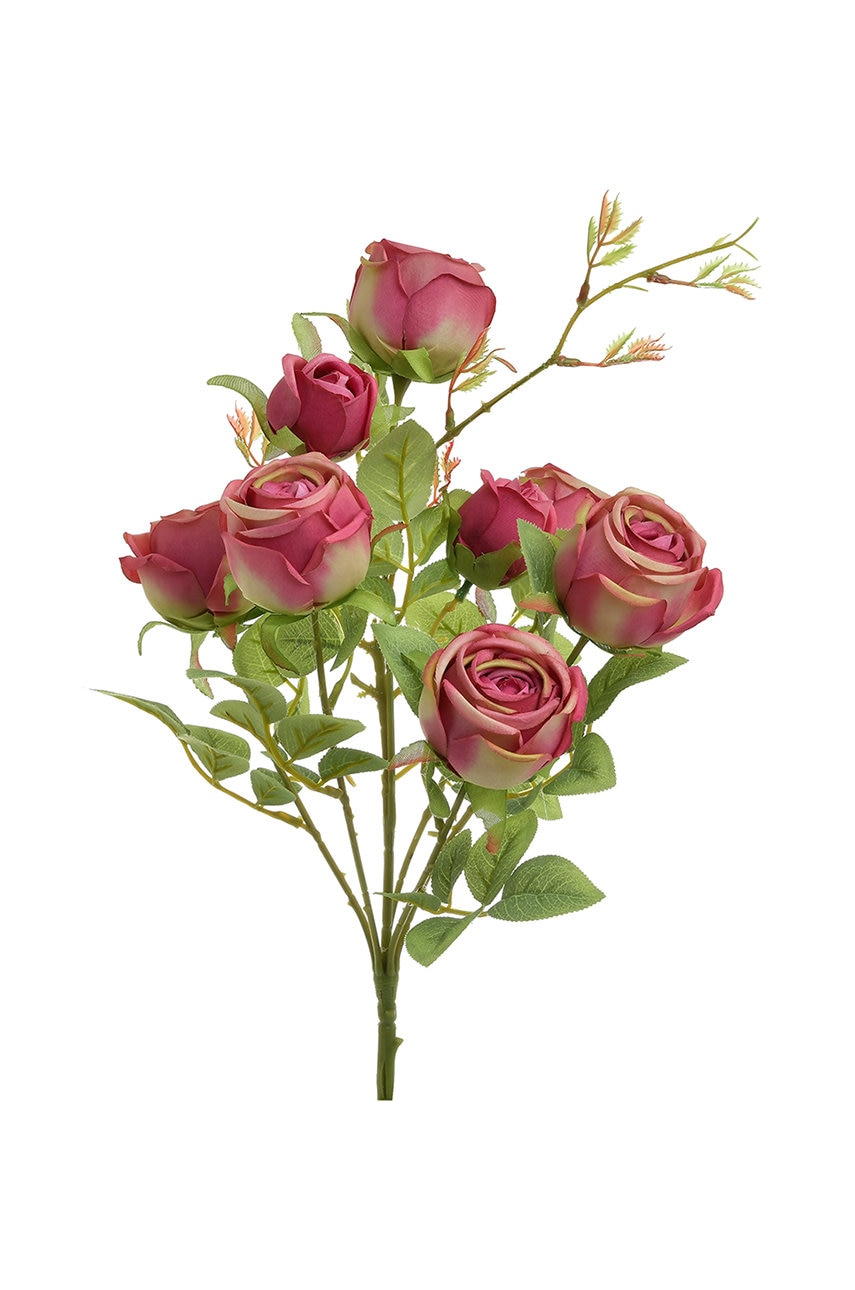 Așteaptă imaginea pentru produs