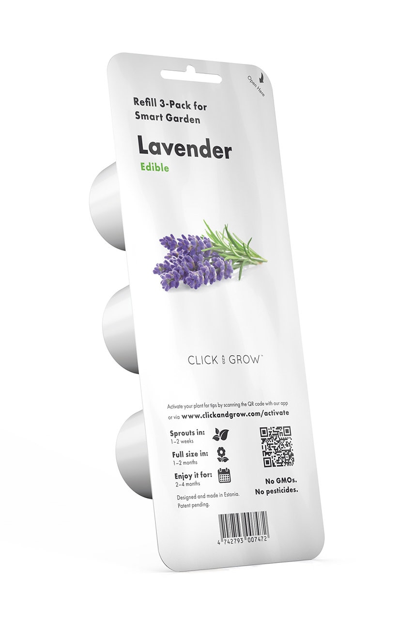 Click & grow insertie de seminte lawenda
