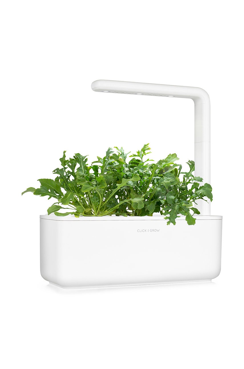 

Click & Grow Вставка з насінням Rukola