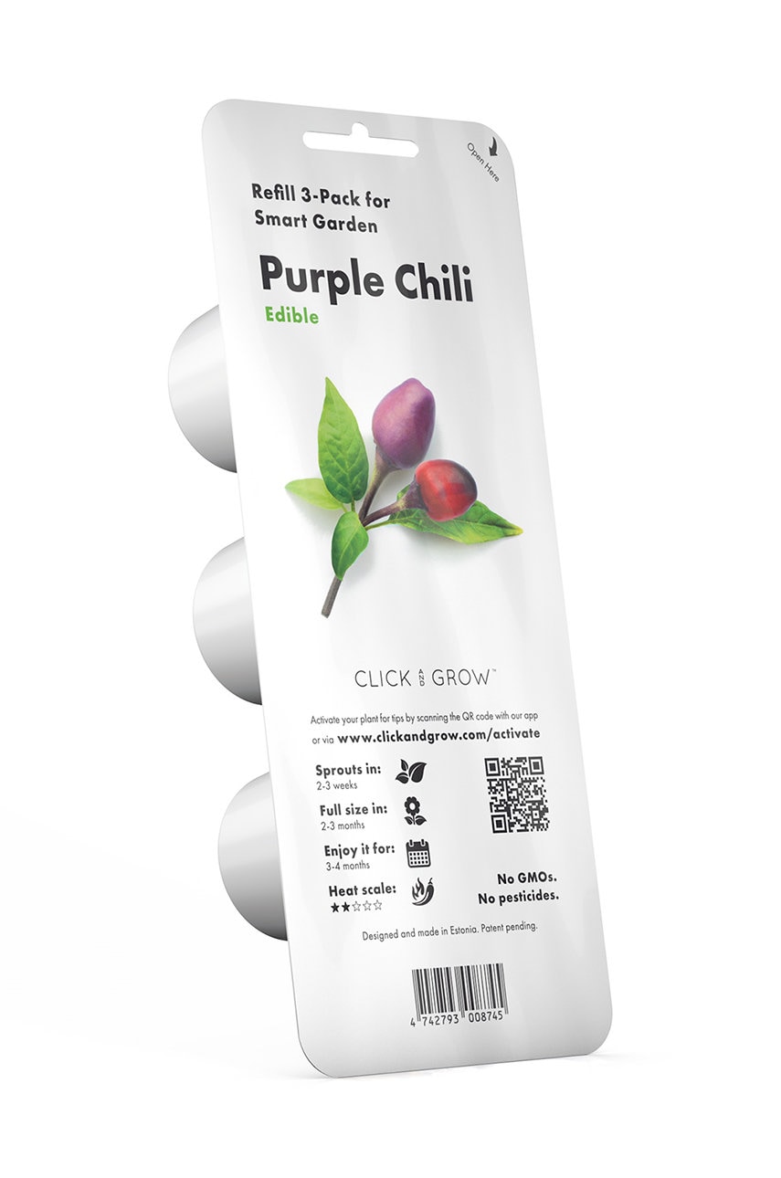 Click & grow insertie de seminte fioletowa papryczka chilli
