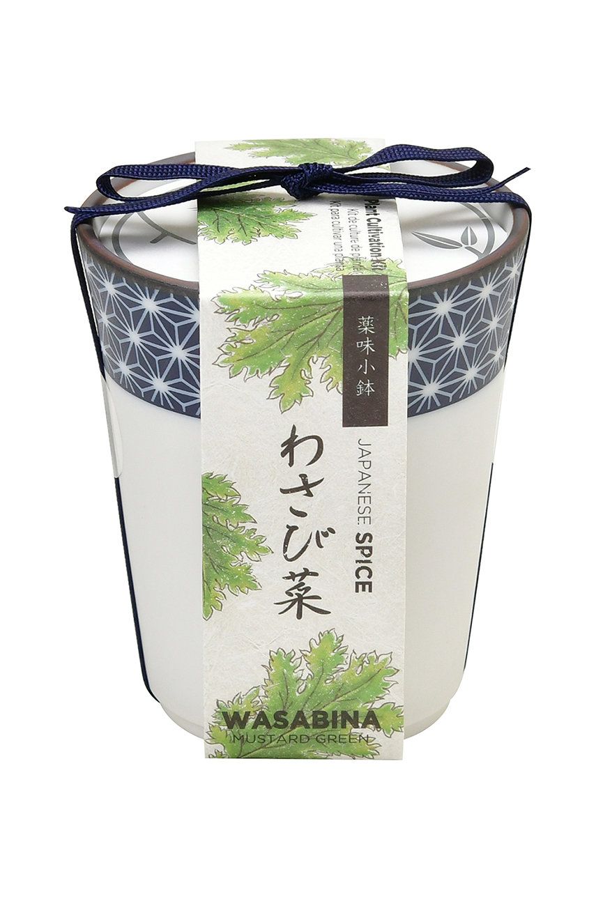 Noted set pentru cultivarea unei plante Yakumi, Wasabina Accesorii imagine noua