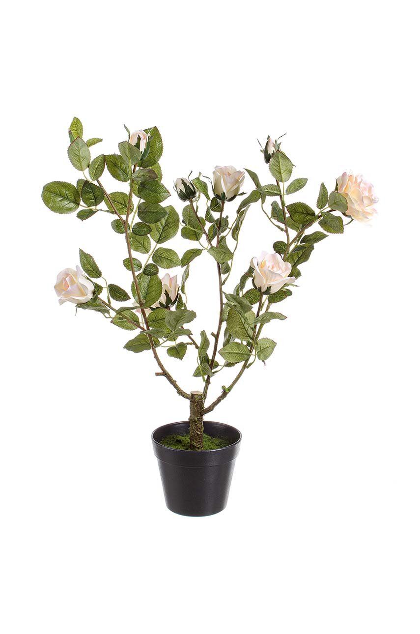 Așteaptă imaginea pentru produs