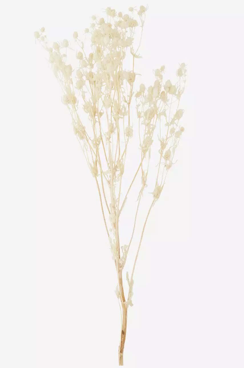 Așteaptă imaginea pentru produs