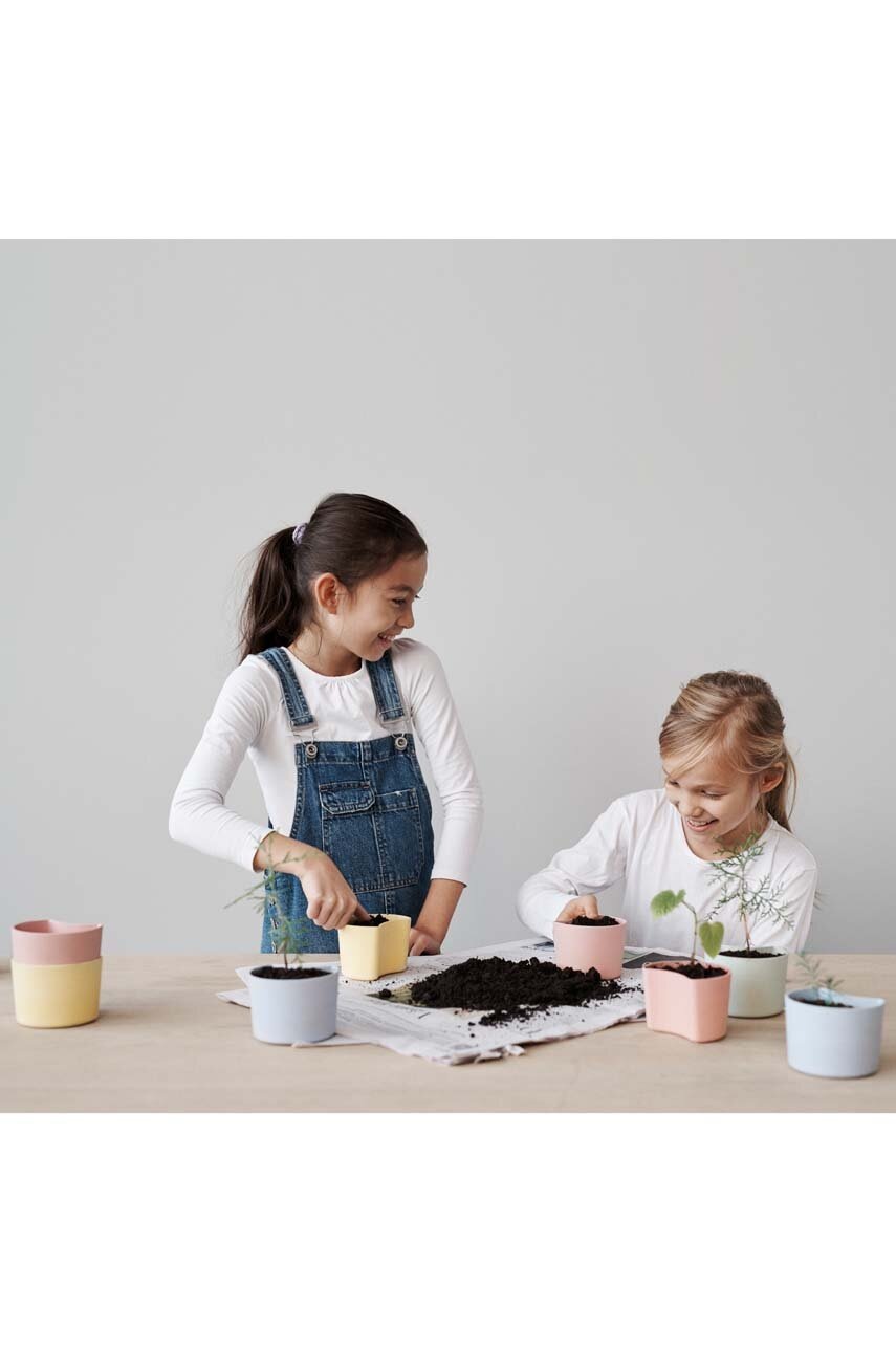 Γλάστρα με σπόρους Rig-Tig Your Tree Birch φωτογραφία