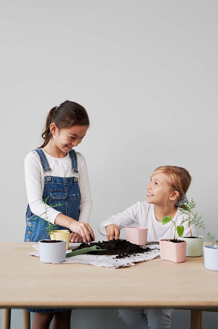 Γλάστρα με σπόρους Rig-Tig Your Tree Birch φωτογραφία