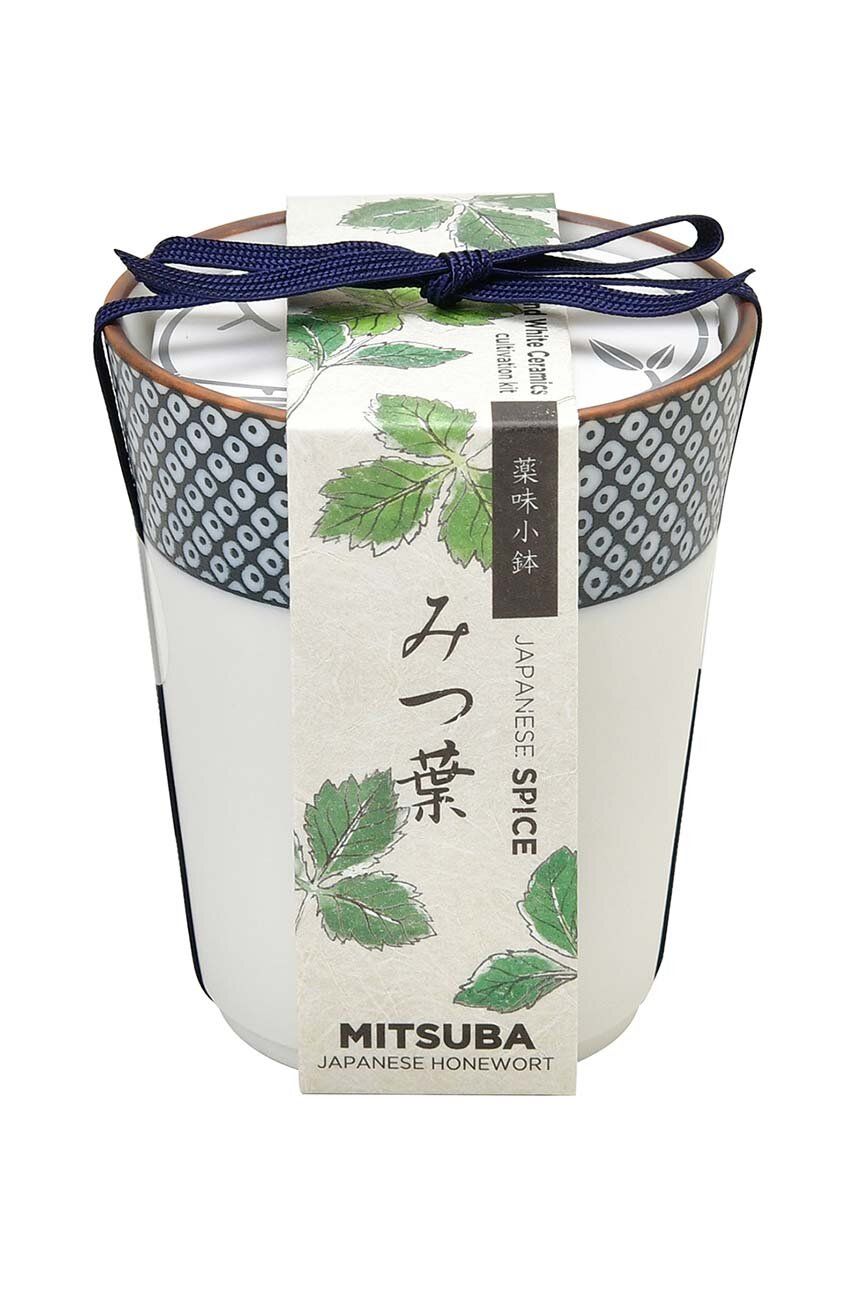 Sada pro pěstování rostlin Noted Yakumi, Mitsuba - vícebarevná - Keramika