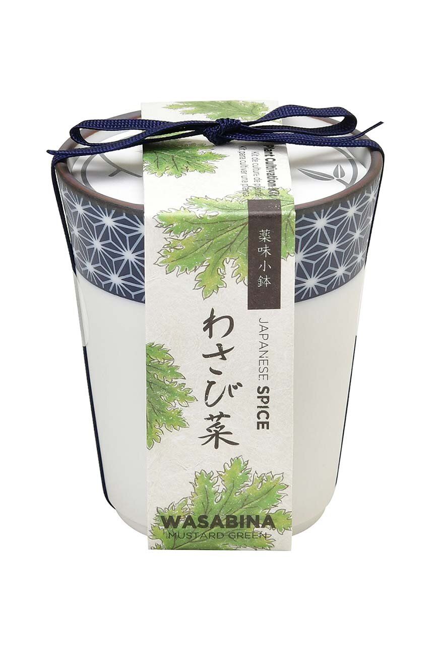 Sada pro pěstování rostlin Noted Yakumi, Wasabina - vícebarevná - Keramika