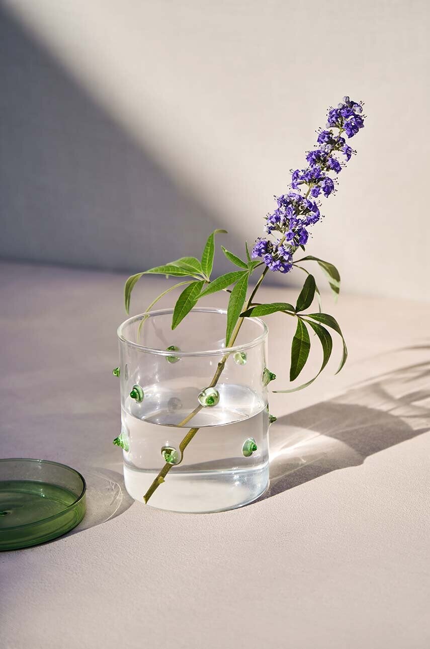 Δοχείο με καπάκι Octaevo Agave S φωτογραφία