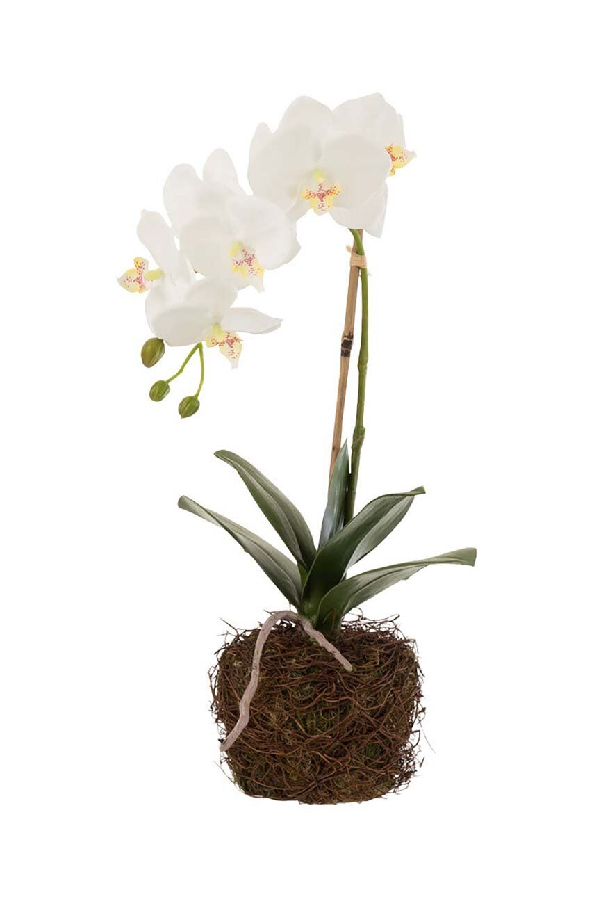 J-Line planta artificiala Orchid In Soil