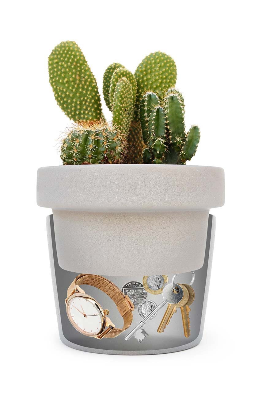 Γλάστρα Luckies of London φωτογραφία