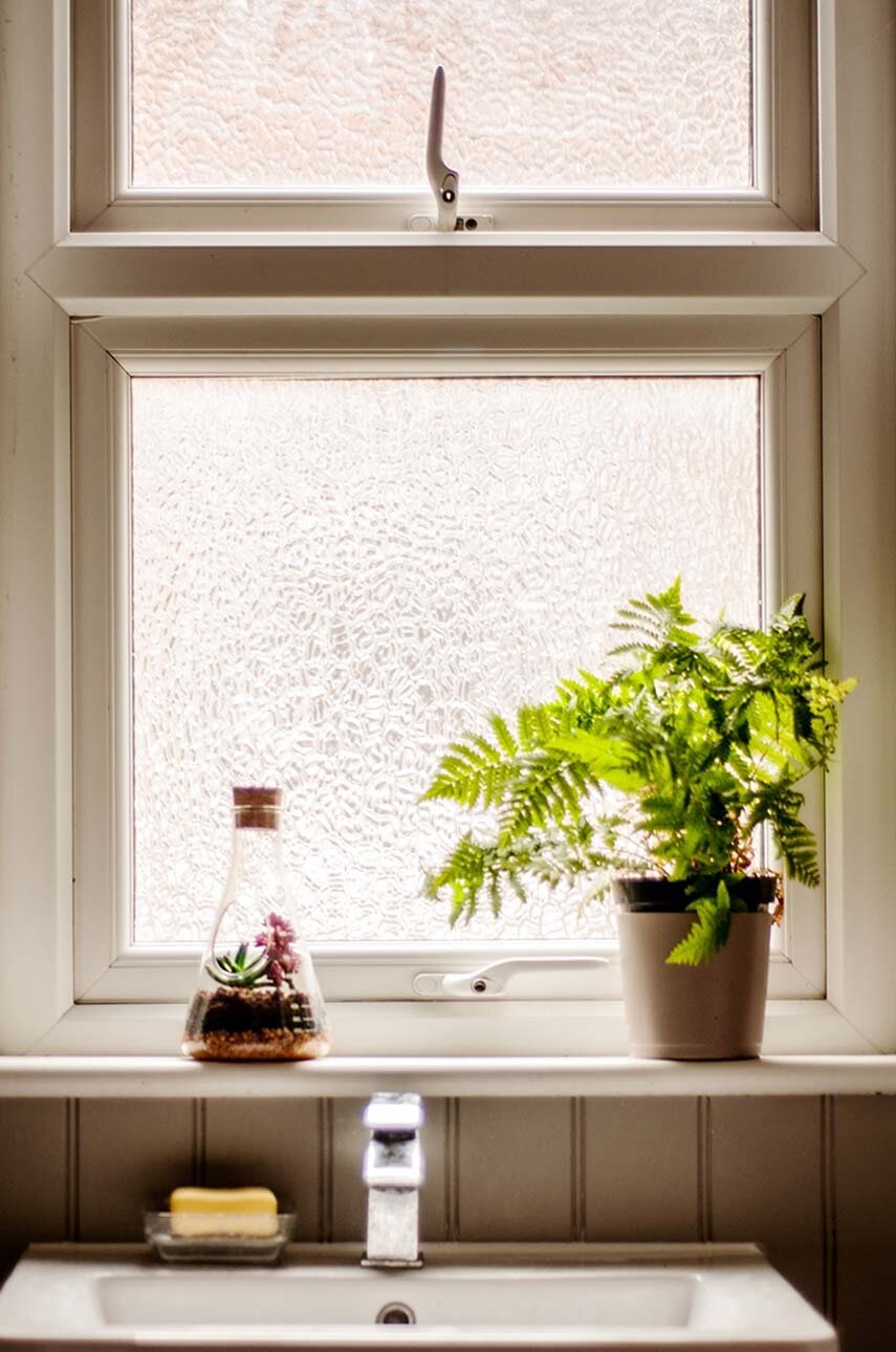 Terrarium φυτών Luckies of London φωτογραφία