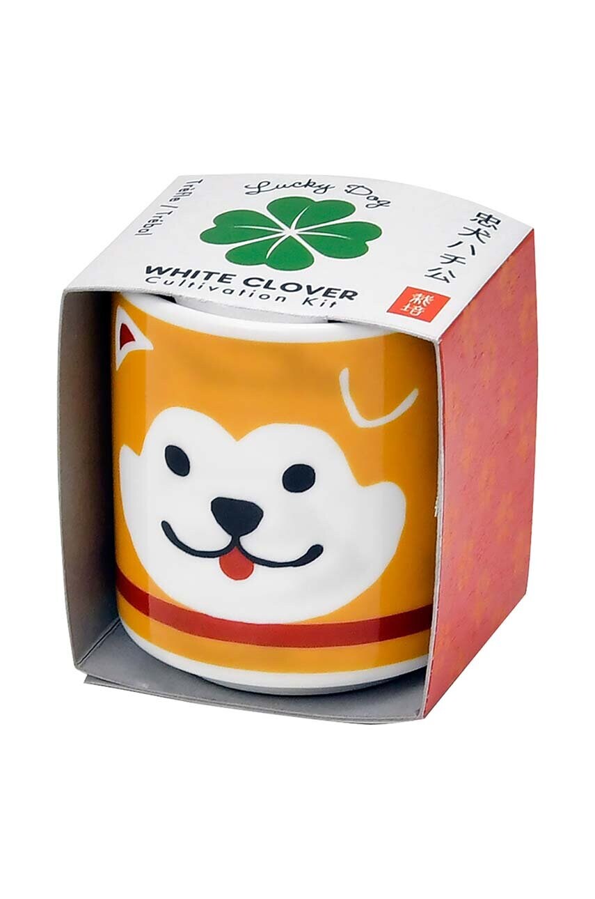 Noted set pentru cultivarea plantelor