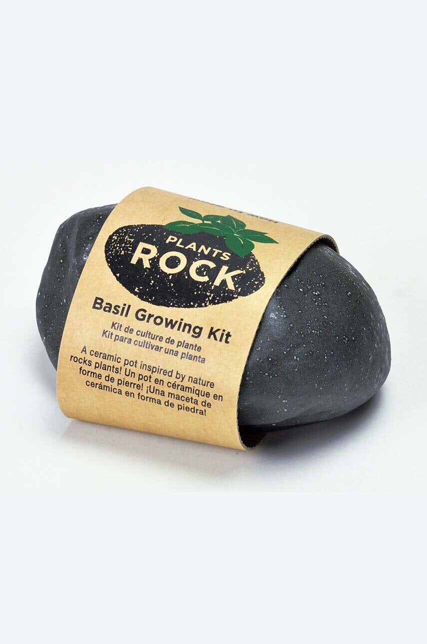 Noted set pentru cultivarea plantelor Plants Rock - Basil