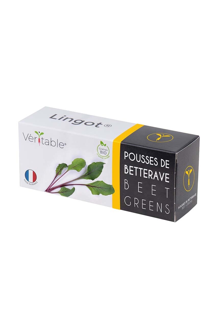 Veritable insertie de seminte Beet Greens Veritable insertie de seminte Beet Greens