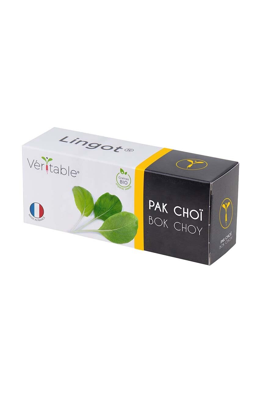 Veritable insertie de seminte Bok Choy