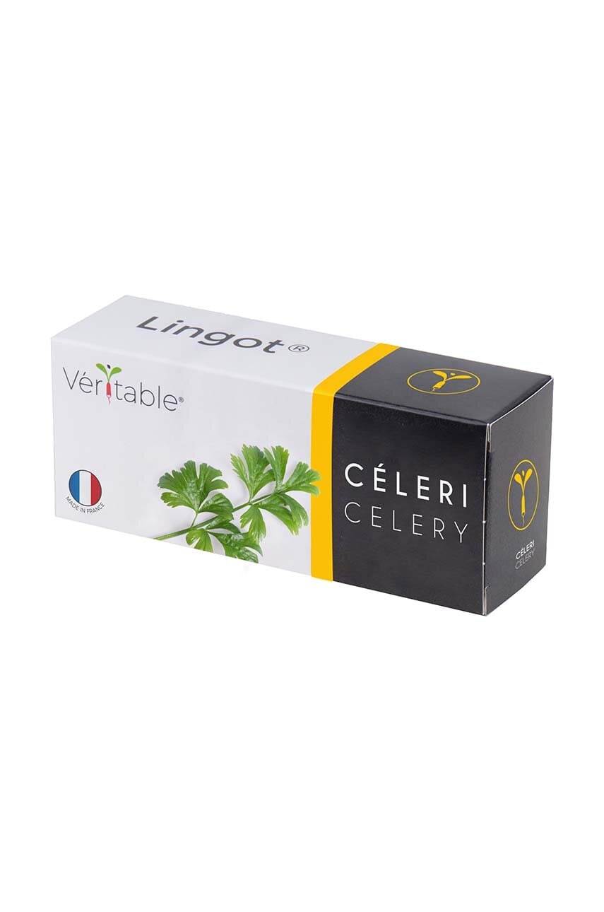 Veritable insertie de seminte Celery Veritable insertie de seminte Celery