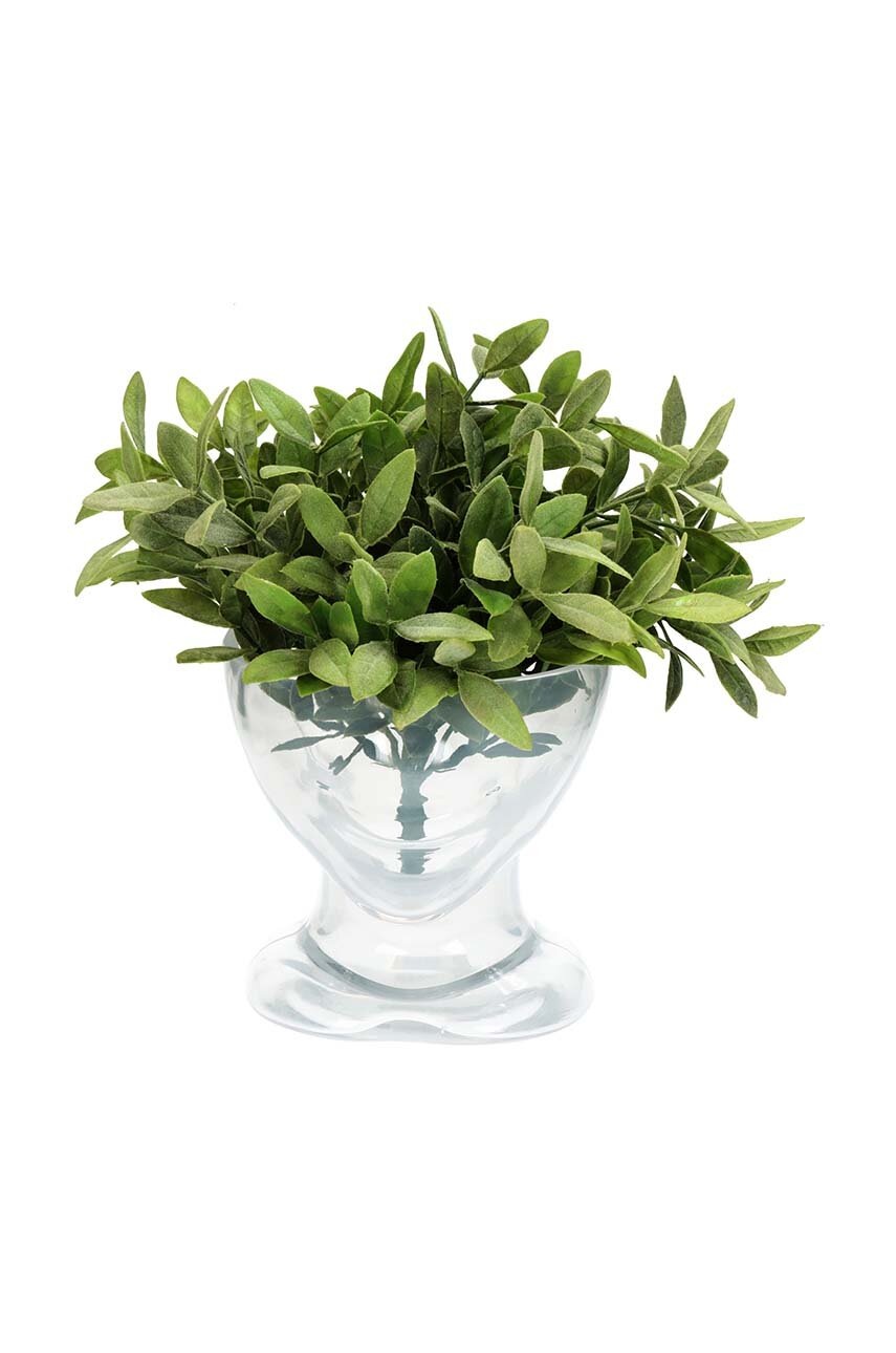 Γλάστρα φωτογραφία