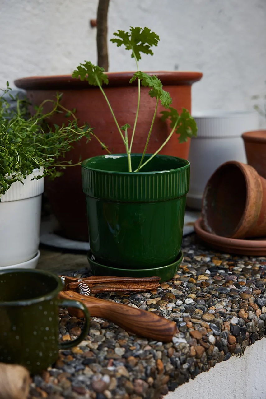 Δοχείο Sagaform Elise χρώμα: πράσινο φωτογραφία