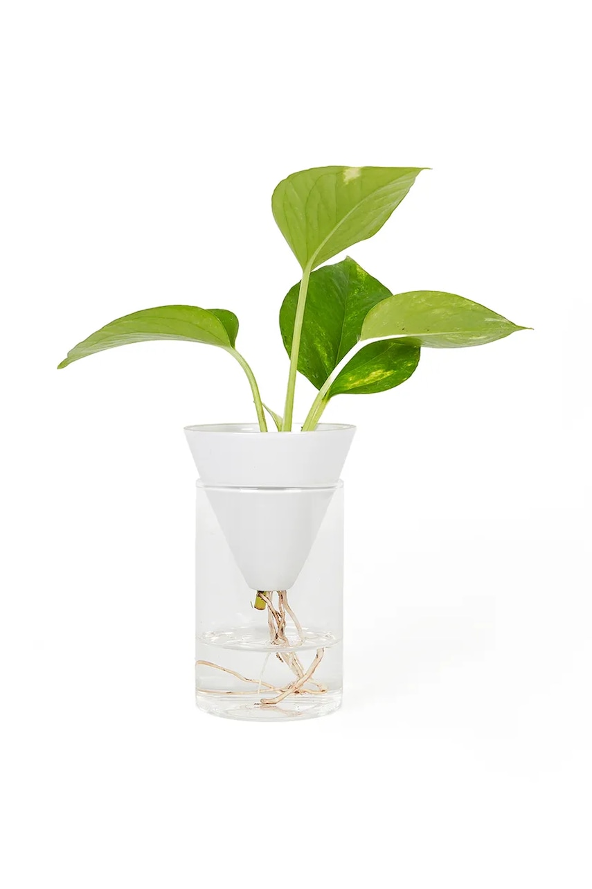 Helio Ferretti vază hidroponică Cone