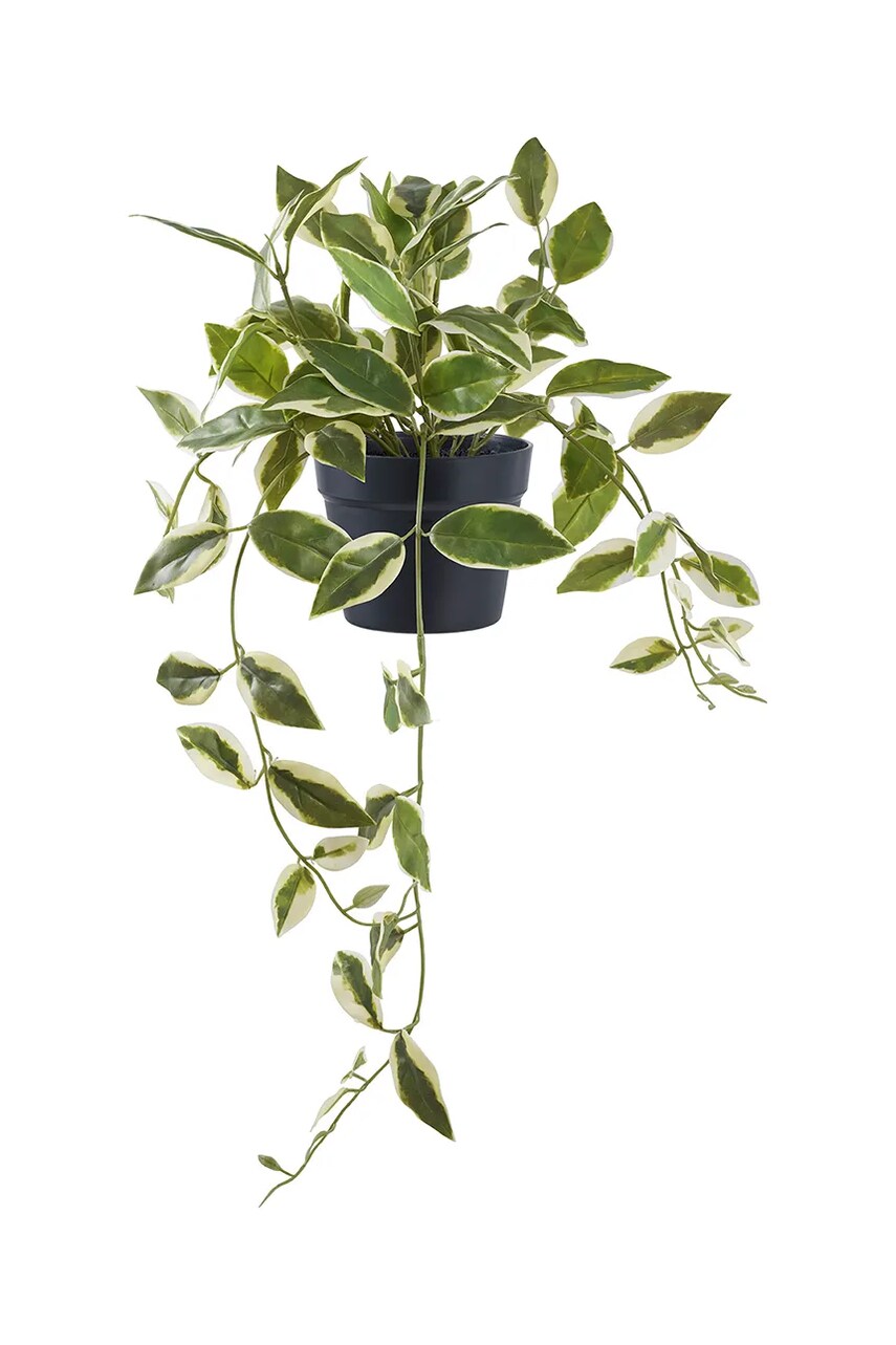 House Nordic plantă artificială în ghiveci Hoya culoarea verde