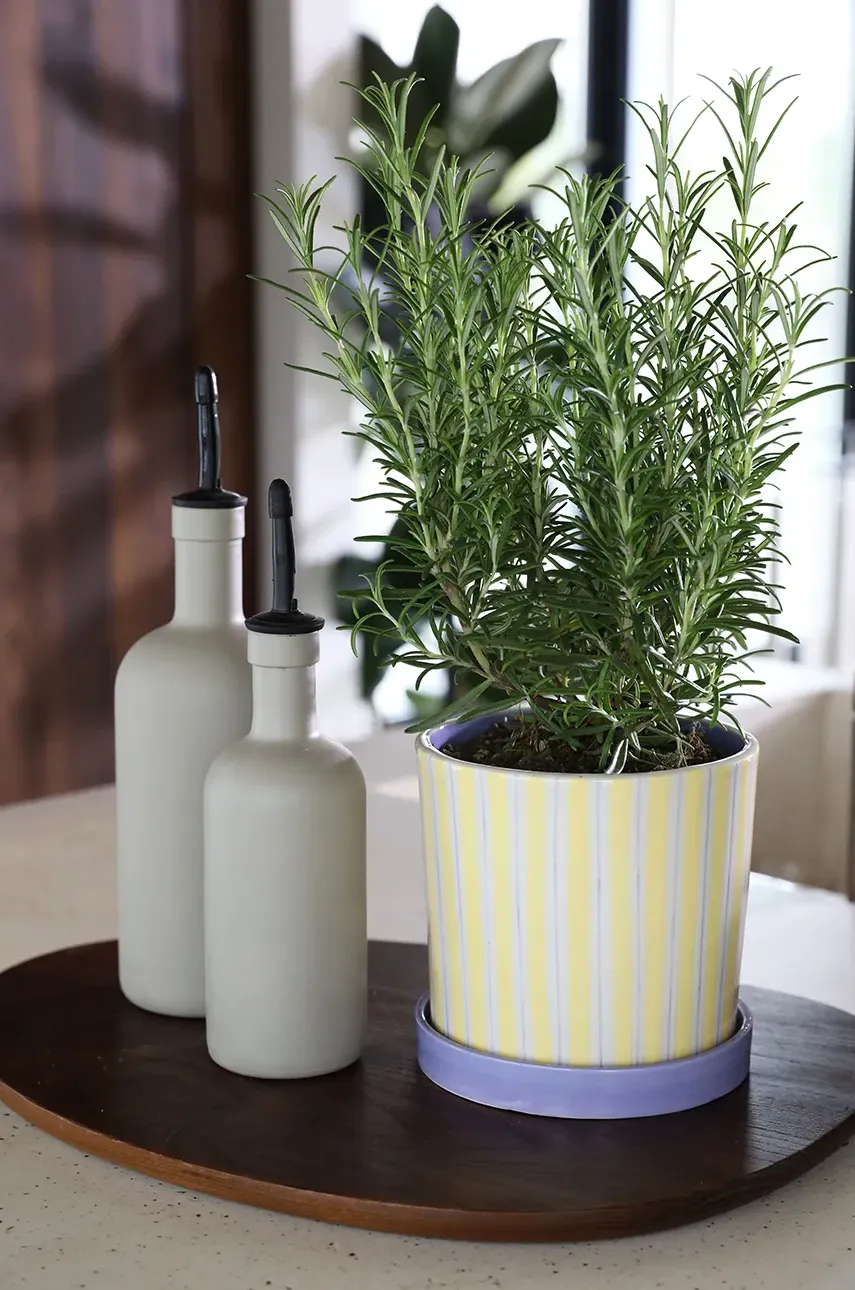 Горшок &k amsterdam Ray Yellow Горшок &k amsterdam Ray Yellow