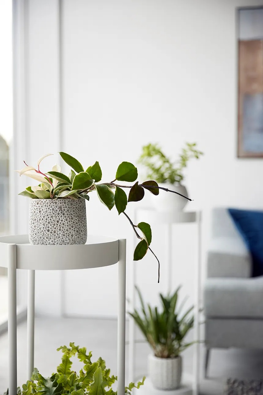 Παρτέρι Yamazaki Tower χρώμα: άσπρο φωτογραφία