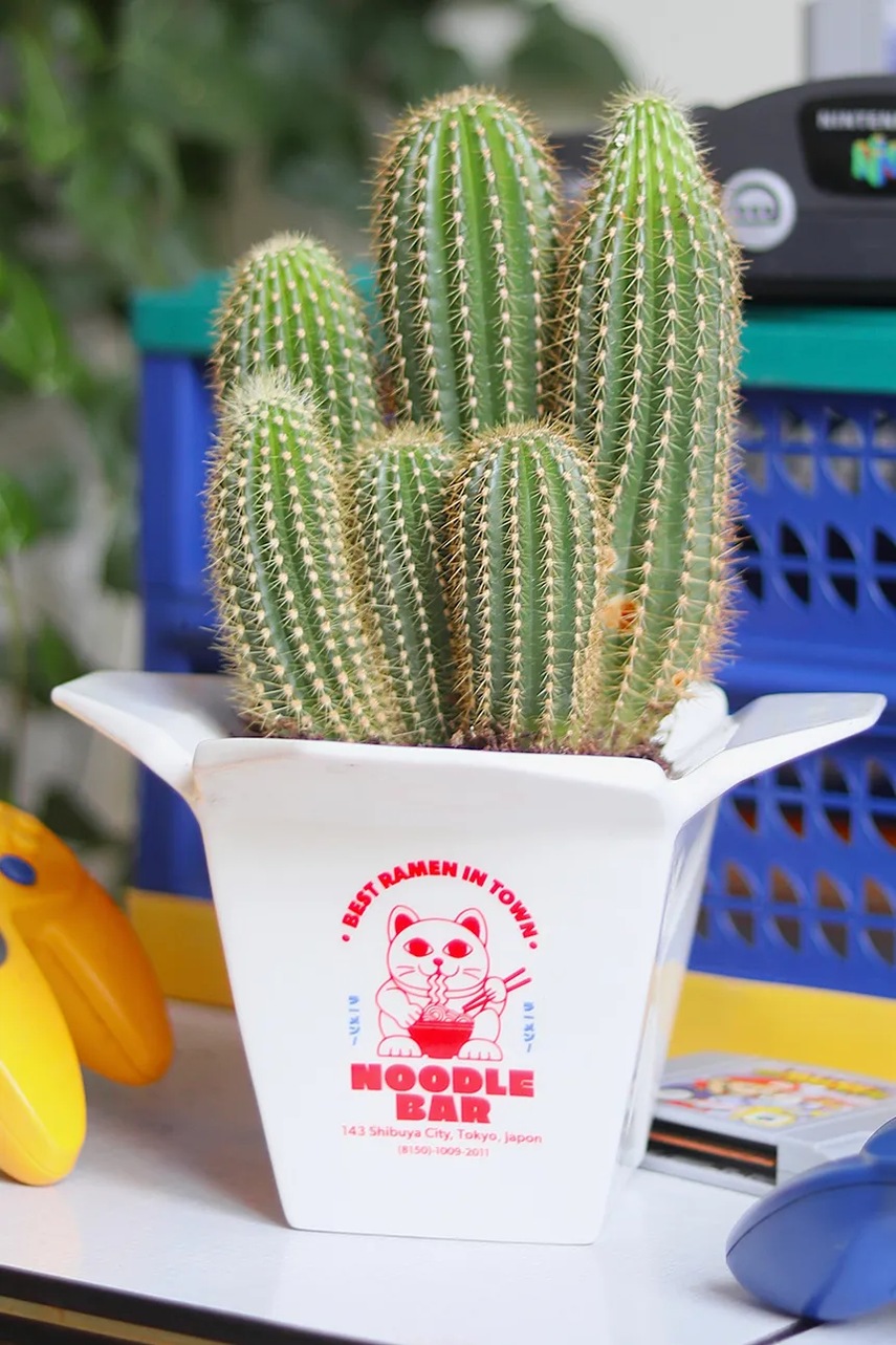 Γλάστρα Fluid Market Ramen φωτογραφία