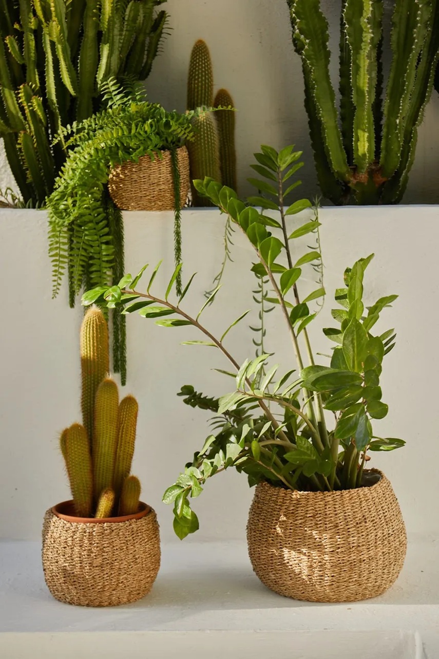 Γλάστρα Calma House 12 x 14 cm χρώμα: μπεζ φωτογραφία