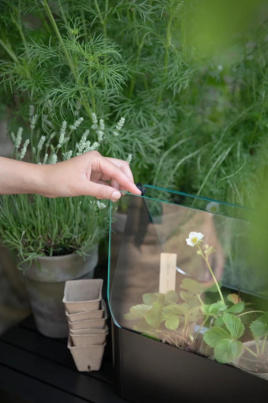 Μίνι θερμοκήπιο Eva Solo Simply Grow Mini Greenhouse 32 x 42 x 20 cm χρώμα: μαύρο φωτογραφία