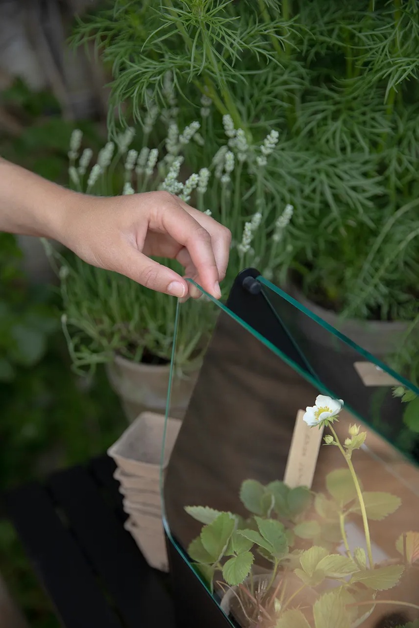 Μίνι θερμοκήπιο Eva Solo Simply Grow Mini Greenhouse 32 x 42 x 20 cm χρώμα: μαύρο φωτογραφία