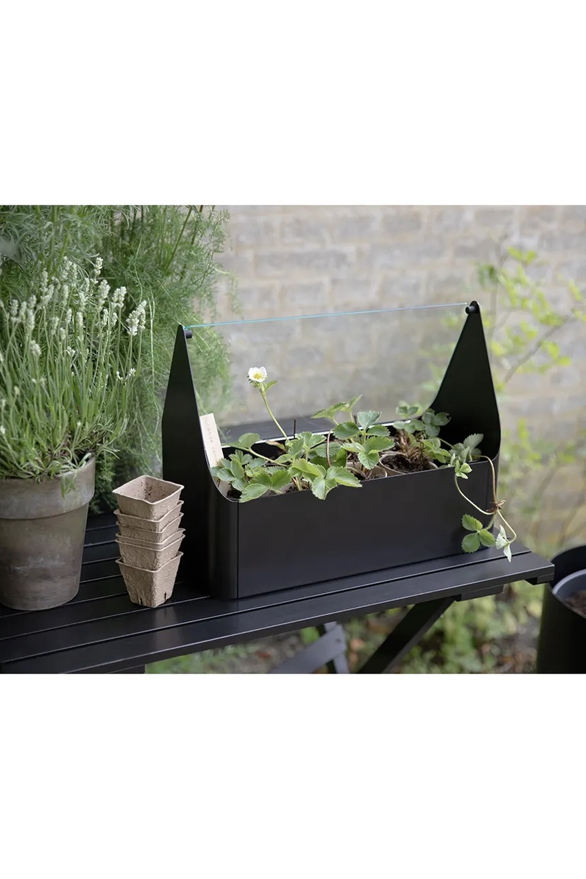 Μίνι θερμοκήπιο Eva Solo Simply Grow Mini Greenhouse 32 x 42 x 20 cm χρώμα: μαύρο φωτογραφία