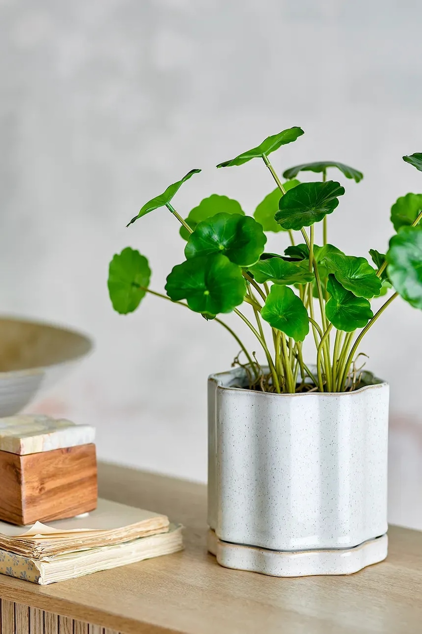 Květináč Bloomingville Argyle 13 x 13 cm