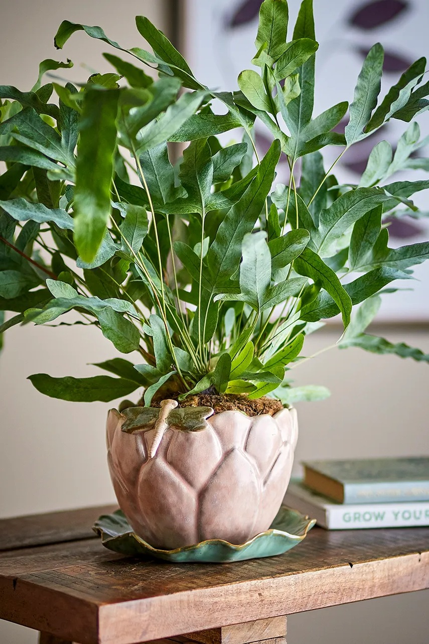 Γλάστρα με βάση Bloomingville Jaylee 18,5 x 13,5 cm φωτογραφία