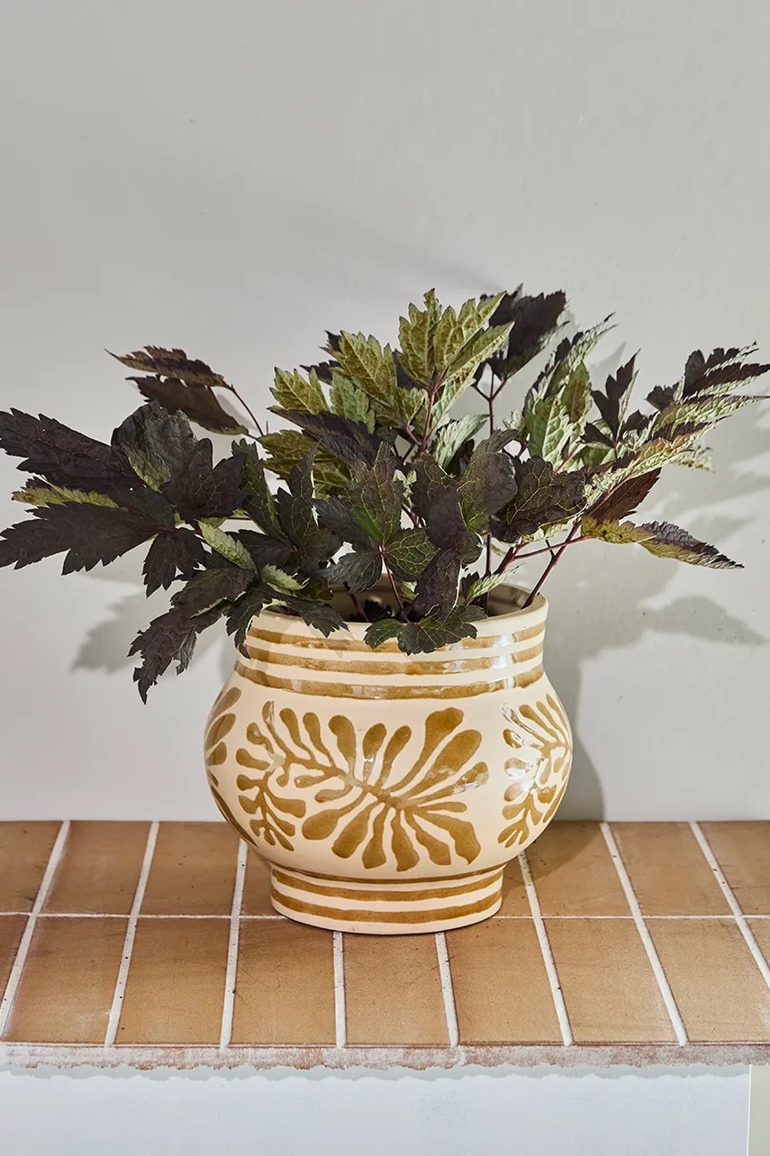 Γλάστρα House Doctor HDIvy 20 cm φωτογραφία