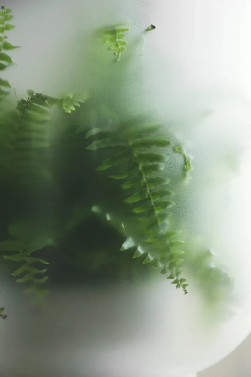 Γλάστρα Gejst Nebl 26 x 43 cm φωτογραφία