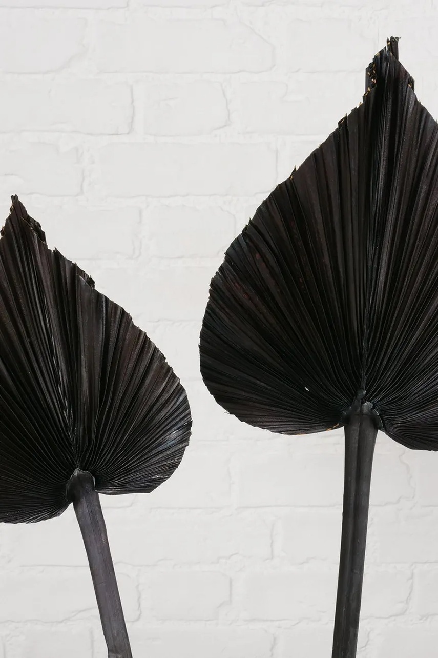 Ντεκόρ Boltze Areca 2-pack χρώμα: μαύρο φωτογραφία