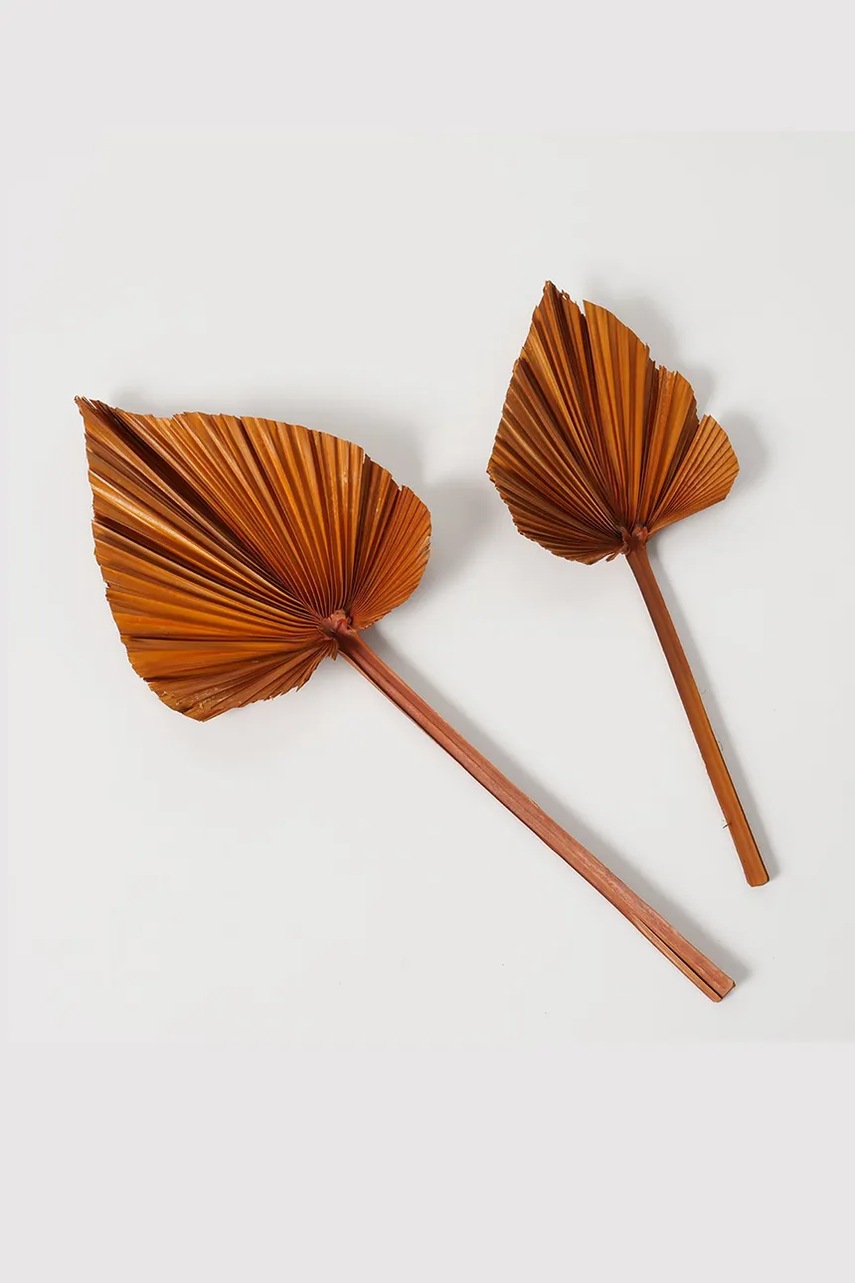 Ντεκόρ Boltze Areca 2-pack χρώμα: πορτοκαλί φωτογραφία