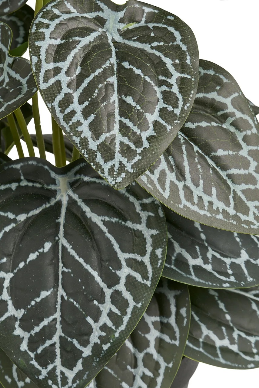 Τεχνητό φυτό σε γλάστρα House Nordic 33 cm χρώμα: πράσινο φωτογραφία