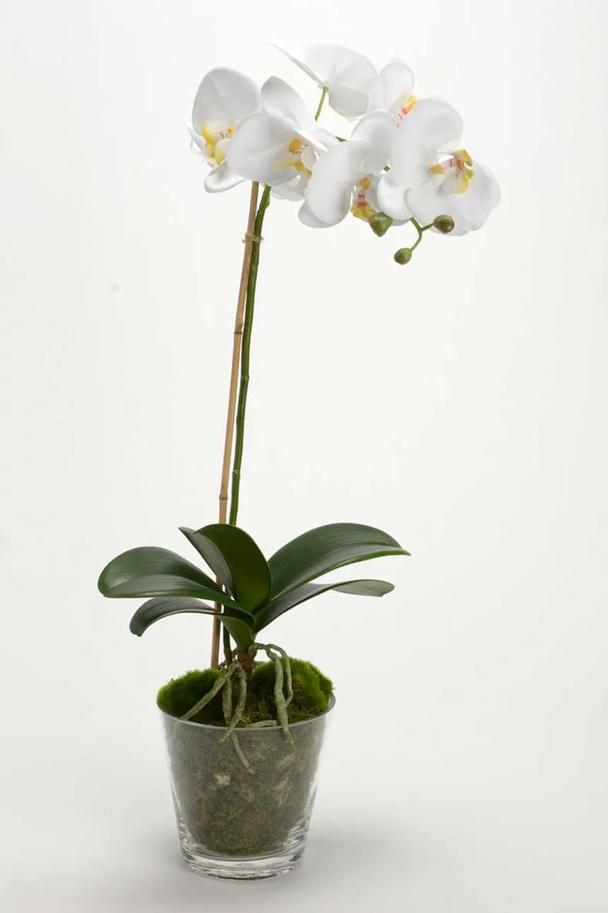 Umělá rostlina v květináči home & lifestyle 63.5 cm