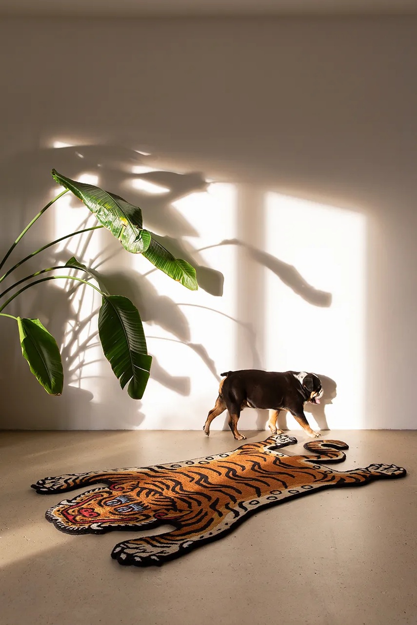 Μάλλινο χαλί Bongusta Tiger 115 x 190 cm χρώμα: πολύχρωμο φωτογραφία