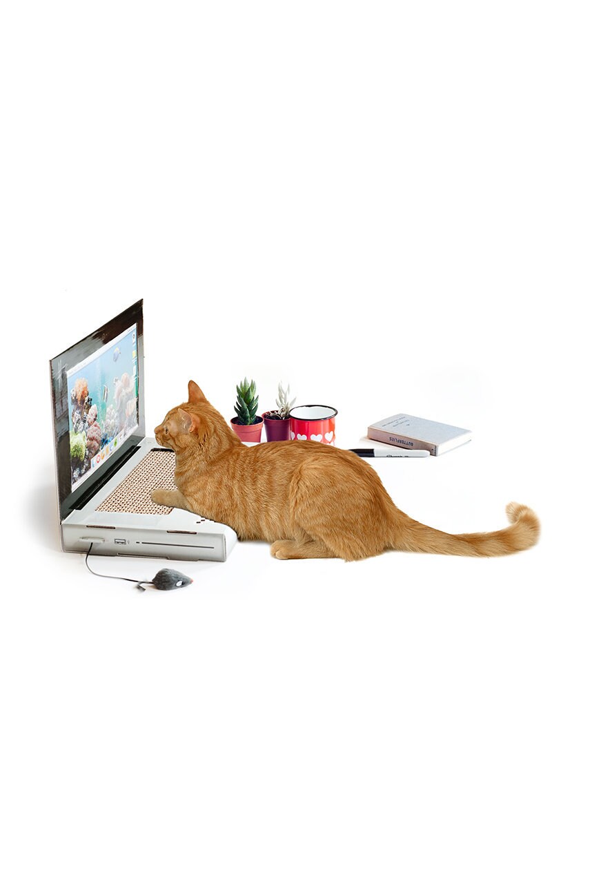 Luckies of London δέντρο γάτας Scratch Laptop φωτογραφία