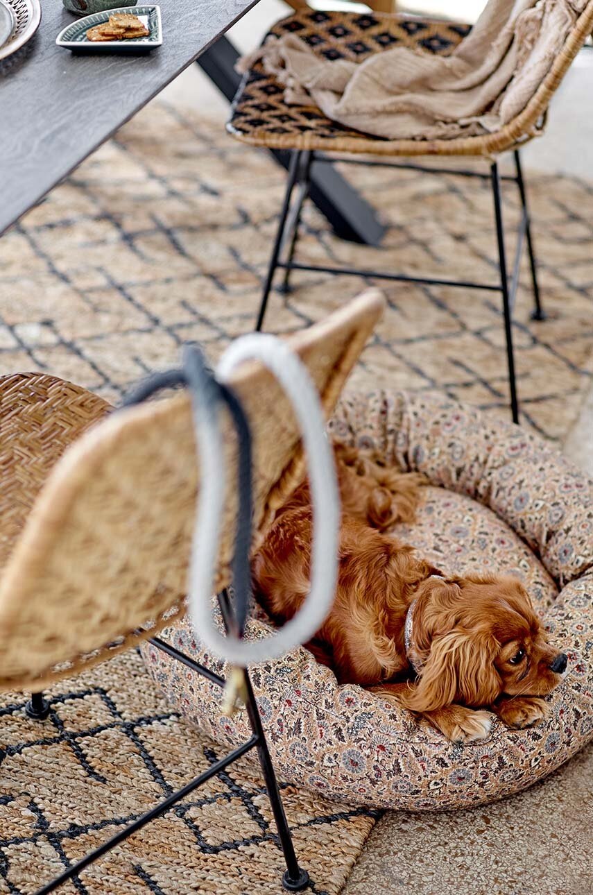 Λουρί σκύλου Bloomingville Ceylan φωτογραφία