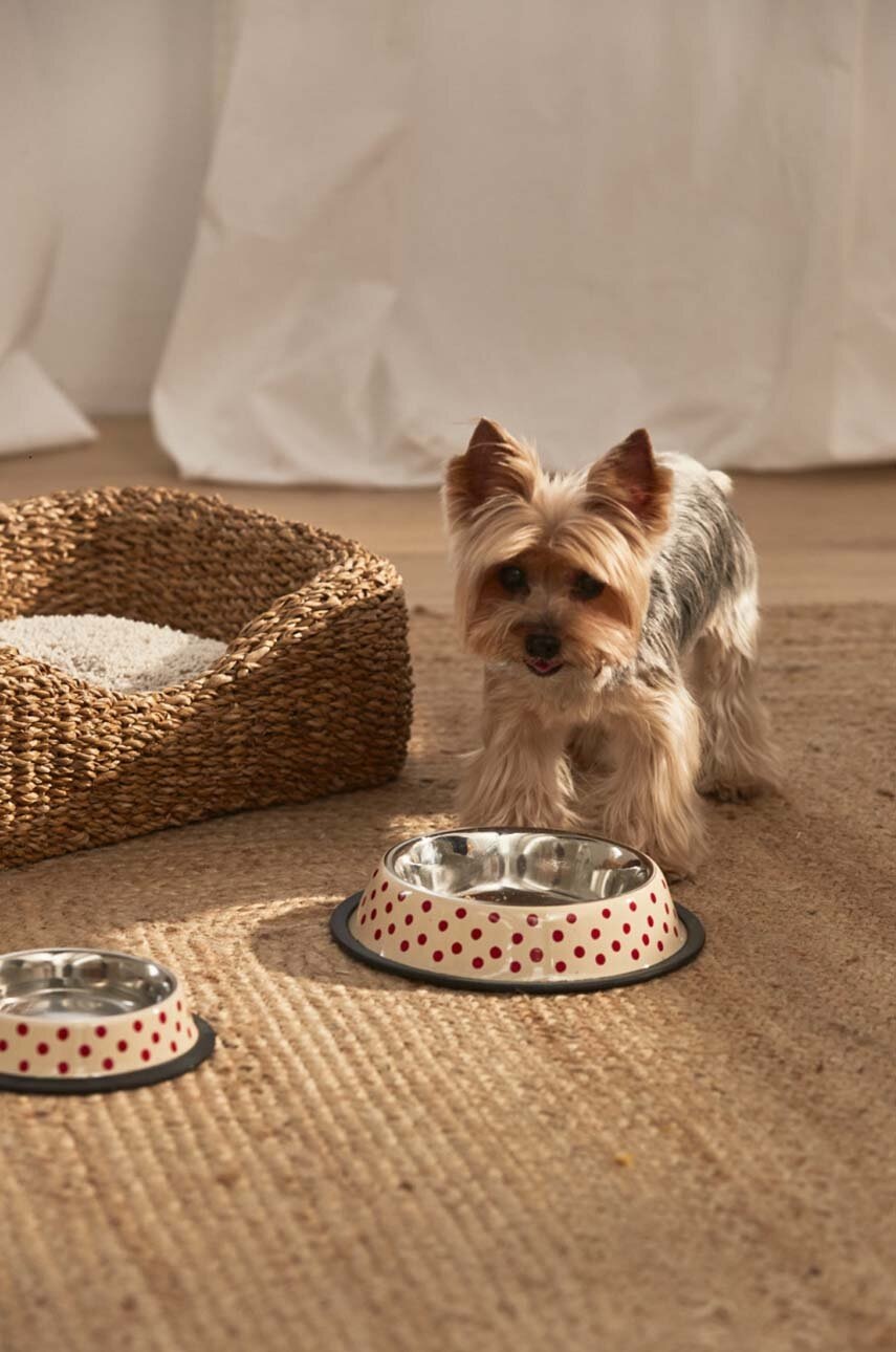 Μπολ με τροφή για γάτες Calma House Lola φωτογραφία